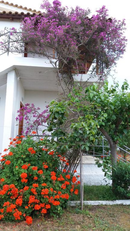 Theodore Apartments زاخارو المظهر الخارجي الصورة